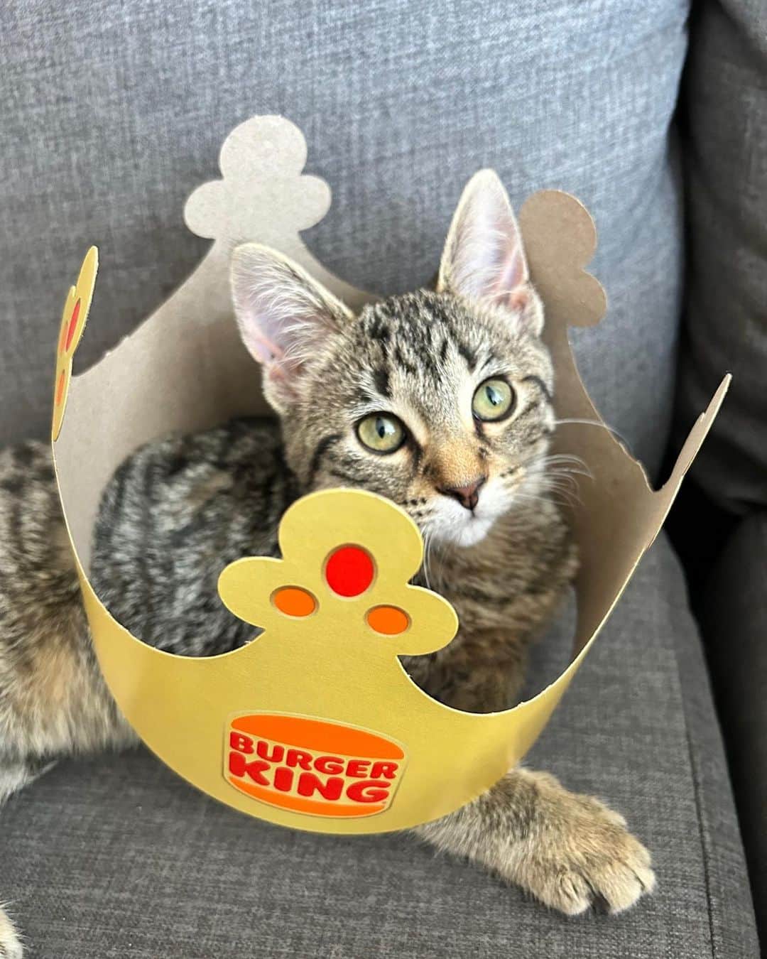 のインスタグラム：「your ruling knows no bounds. #crowndrop」