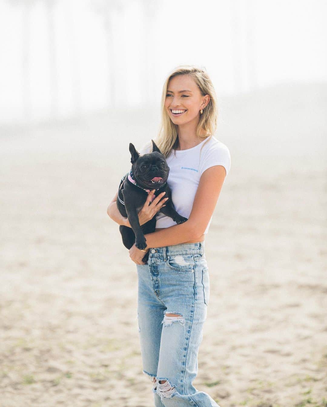 Taylor Howardのインスタグラム：「national dog day today.. it’s everyday for us!  i love you so much my soul dog 🐾 🪽」