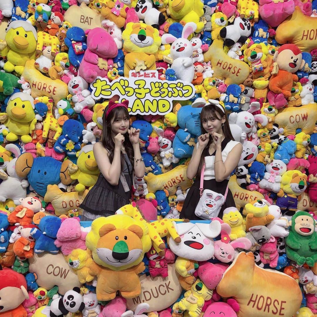 のインスタグラム：「たべっ子どうぶつLAND行ってきたー！  カチューシャどれにしようか悩んで猫にした！🐱  グッズも可愛いしフォトスペースいっぱいだし最高😌」