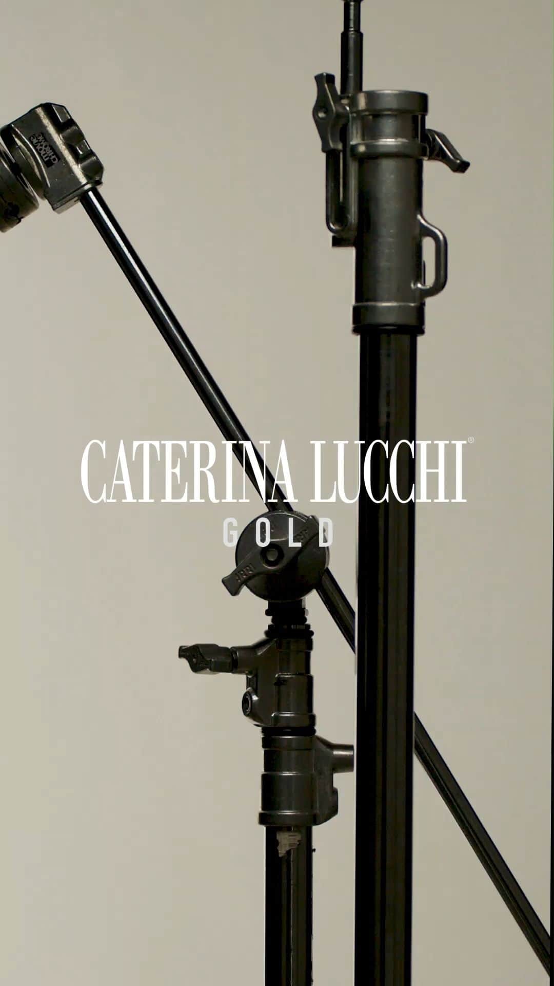カテリーナ ルッキのインスタグラム：「New laminated Anna Bag: your new favourite.  #caterinalucchi #caterinalucchigold #caterinalucchibags #madeinitaly」