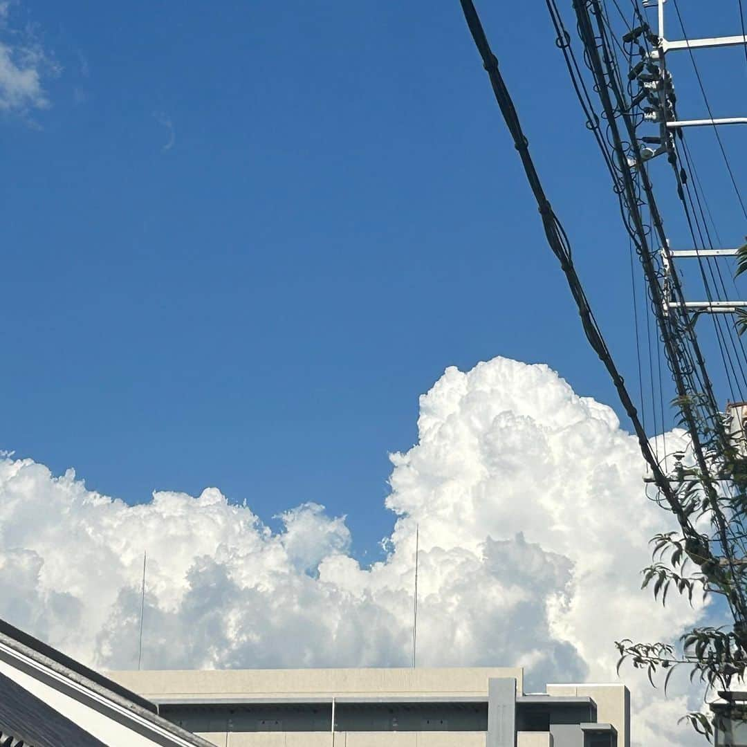 早坂風海さんのインスタグラム写真 - (早坂風海Instagram)「☁️🐈 ⁡ 大きくて美味しそうな雲を見てウキウキしたり。 ⁡ 新しい本を一気に2冊買うという、私にとっては贅沢買いをしてドキドキしたり。 ⁡ 素敵な本を読み切って心がポカポカしたり。 ⁡ 猫ちゃんの可愛い瞬間を撮れてキュンキュンしたり。 ⁡ スタバの可愛い店員さんと仲良くおしゃべり出来てルンルンしたり。 ⁡ 時には頭をグルグルさせてみたり。 ⁡ 心がいっぱい踊った8月でした😌まだ終わってないけどね🫢笑 ⁡ ⁡ ⁡ #早坂風海 #カザスタグラム #どの写真が好きですか #😌」8月26日 21時07分 - kazami42_official