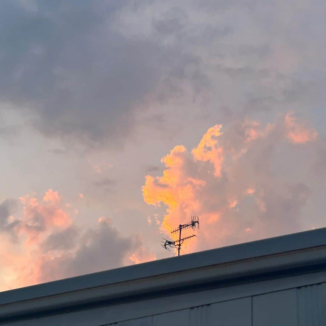 早坂風海のインスタグラム：「☁️🐈 ⁡ 大きくて美味しそうな雲を見てウキウキしたり。 ⁡ 新しい本を一気に2冊買うという、私にとっては贅沢買いをしてドキドキしたり。 ⁡ 素敵な本を読み切って心がポカポカしたり。 ⁡ 猫ちゃんの可愛い瞬間を撮れてキュンキュンしたり。 ⁡ スタバの可愛い店員さんと仲良くおしゃべり出来てルンルンしたり。 ⁡ 時には頭をグルグルさせてみたり。 ⁡ 心がいっぱい踊った8月でした😌まだ終わってないけどね🫢笑 ⁡ ⁡ ⁡ #早坂風海 #カザスタグラム #どの写真が好きですか #😌」