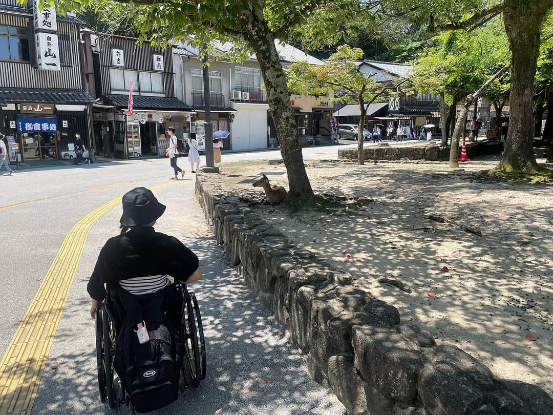 猪狩ともかさんのインスタグラム写真 - (猪狩ともかInstagram)「⛩️⛩️ . . オールスターの帰りに 少し観光してきました🦌 . 厳島神社は車椅子でもまわりやすくて 美味しいものたくさんで 鹿もいるし素敵な場所だった〜✨ . . . #広島観光 #広島グルメ  #厳島神社  #惣田紗莉渚 ちゃん」8月26日 21時10分 - igari_tomoka