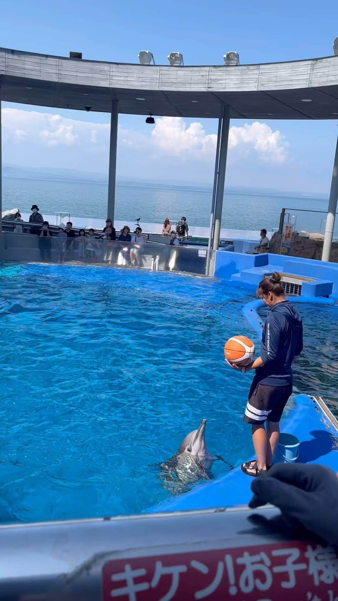 兼田恵のインスタグラム：「イルカちゃんのショーってやっぱり可愛くて賢くて素晴らしい🐬✨ ショーは人が多すぎてほとんど見れなくてしょんぼりだったけど、しばらくしたらショーの練習がはじまって人があまりいない中でがっつり観れてお得でした✨ 可愛いよぉ可愛いよぉぉ🐬  #イルカショー #イルカ #うみたまご #水族館 #大分」