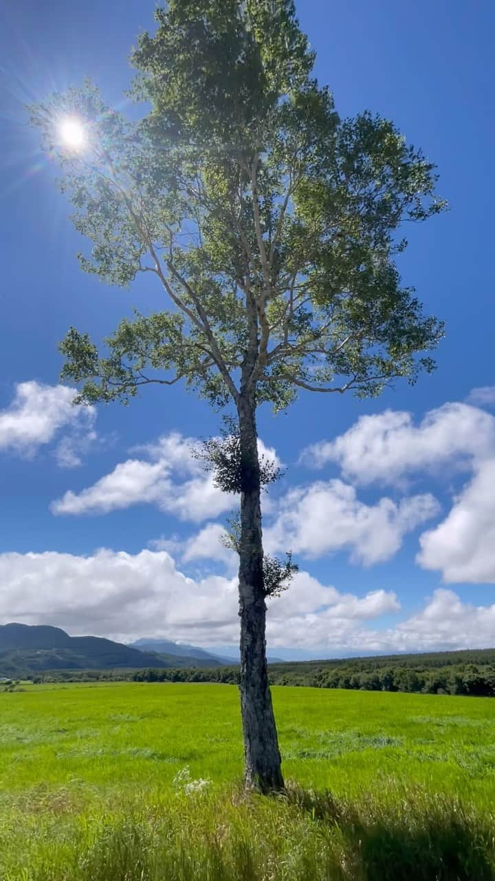 村上舜のインスタグラム：「#長野」