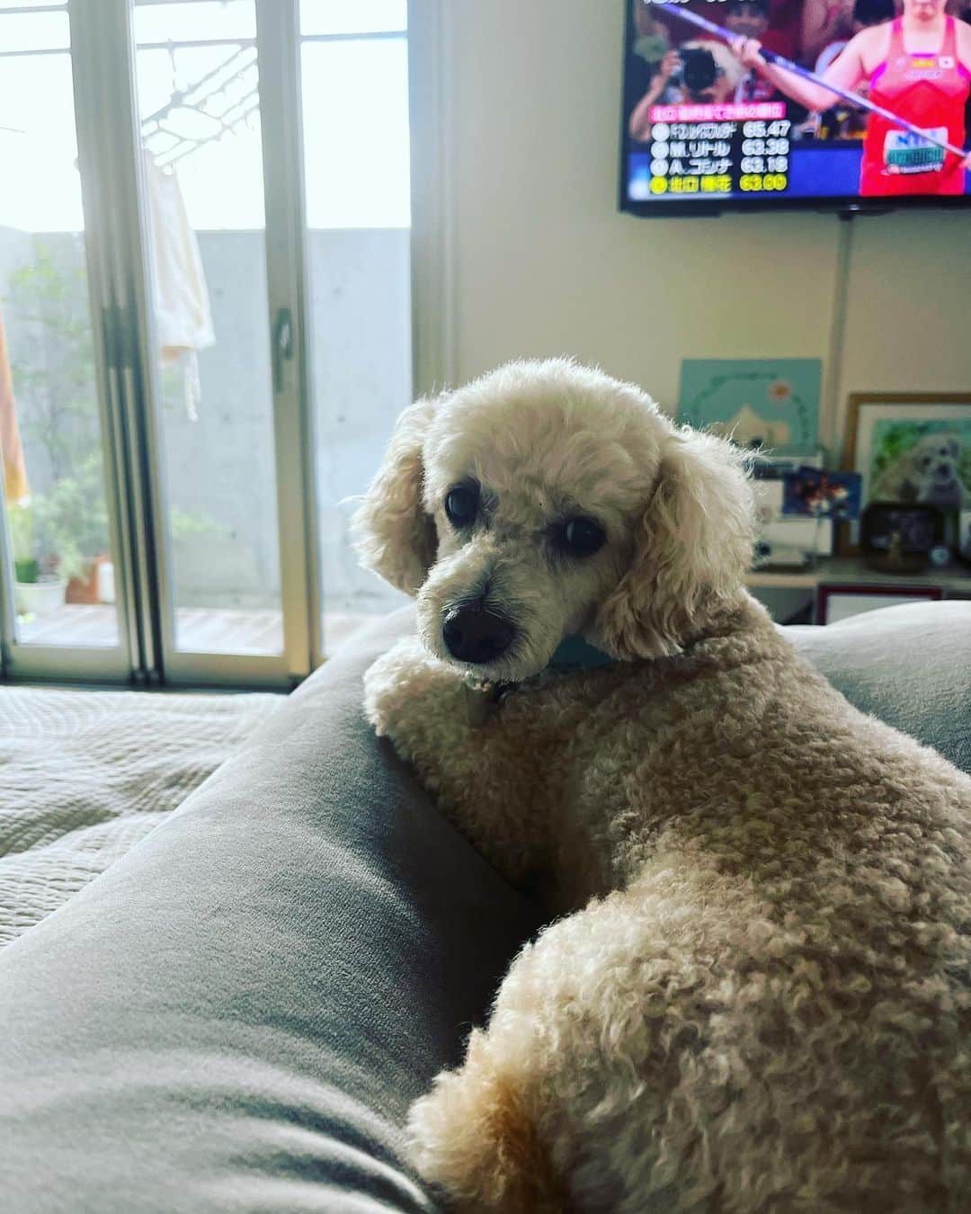 金村義明のグルメインスタ