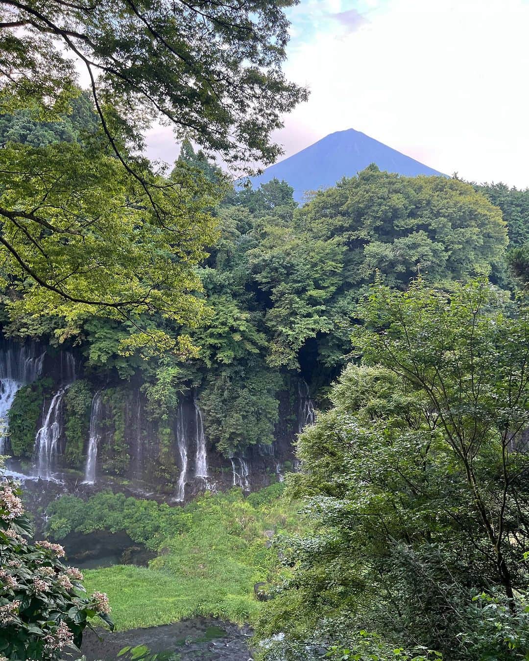 保科凜さんのインスタグラム写真 - (保科凜Instagram)「とっても素敵な滝を見に行ってきました🌊🏔´- 絶景だったーー！！  （袖がリュックに巻き込まれちゃった(̨̡՞ . .՞)̧̢…）   ・  ・   #instagram  #selfie  #like  #followme  #japantrip  #shizuoka  #shiraitonotaki  #japanesegirl  #waterfall   #アイドル #ジャムズ #保科凜 #白糸の滝  #静岡  #静岡観光  #ドライブデート #滝」8月26日 21時56分 - tottoko_lin