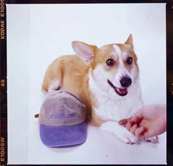 Amazonのインスタグラム：「We sure do love our pups here at Amazon, and it all started with Rufus the corgi.   In the early days of Amazon.com, a husband and wife team brought their Welsh corgi, Rufus, to work with them, and he became a surprisingly productive part of the team. Employees would even use Rufus's paw to click the computer mouse to launch some of the earliest pages of Amazon.com.  Rufus's memory is still honored at Amazon: There are photos of him around our offices, and we even have a building named after him. And now, thousands of office dogs follow in Rufus's paw steps.   Having dogs in our workplace has been found to lower stress and boost morale, and we're proud this is such a uniquely Amazonian tradition. Happy International Dog Day! 🐶 🐾」