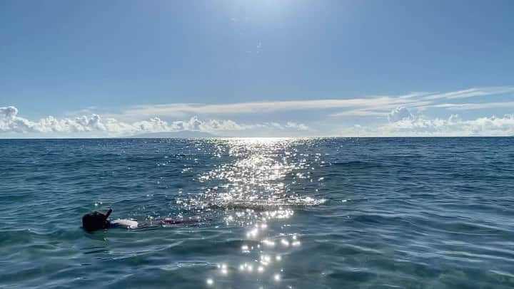 田島貴男のインスタグラム：「🏊‍♂️」