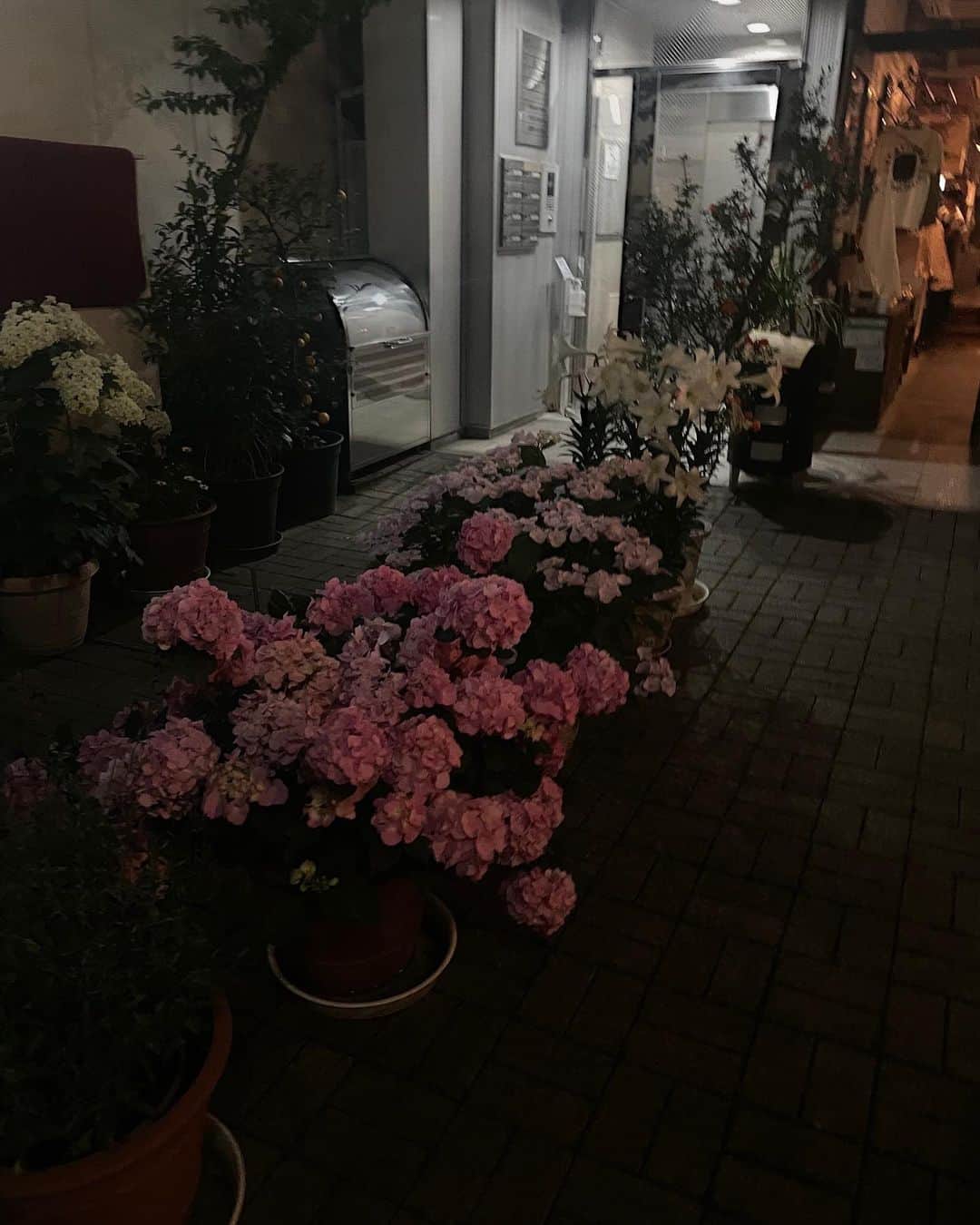 のインスタグラム