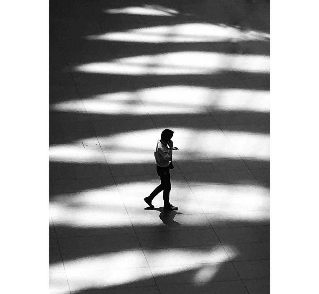 でもやるのインスタグラム：「bone shadows🦴 ・ 鯨の骨と言われる建物の影 刻一刻と影の模様が変わるのだ」