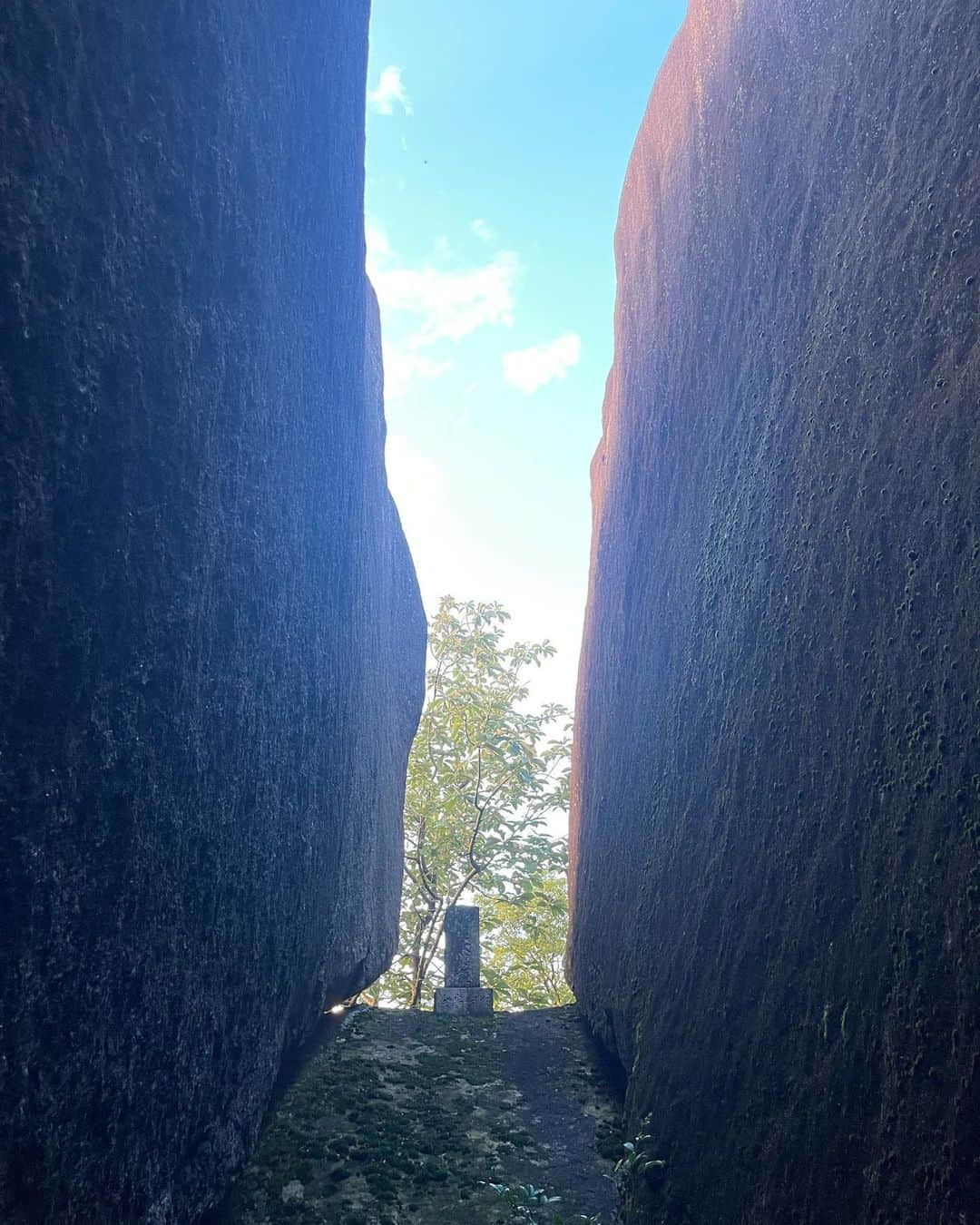 中村貴之さんのインスタグラム写真 - (中村貴之Instagram)「なんかよく分かんないけど巨石に興味あって岐阜県の中津川にある星ヶ見岩(ホシガミイワ)に行ってきました。 そこらじゅう謎の巨石ばかりで山頂の岩は北極星の向きに真っ二つに割れているという神秘すぎるパワースポット。 まじでデカくてやばいっす。笑  さすがに夕方6時に1人で行くのは怖かったなー笑。このホシガミイワを地元の人に話しても誰も知らないっていうのもまた謎！笑  そんな奴いるんか知らんけど巨石好きな方是非行ってみてください。笑  #巨石好きと繋がりたい  #ストーンヘッジ #巨石群 #巨石 #岐阜県中津川市 #パワースポット  #北極星」8月27日 0時54分 - taka_brew