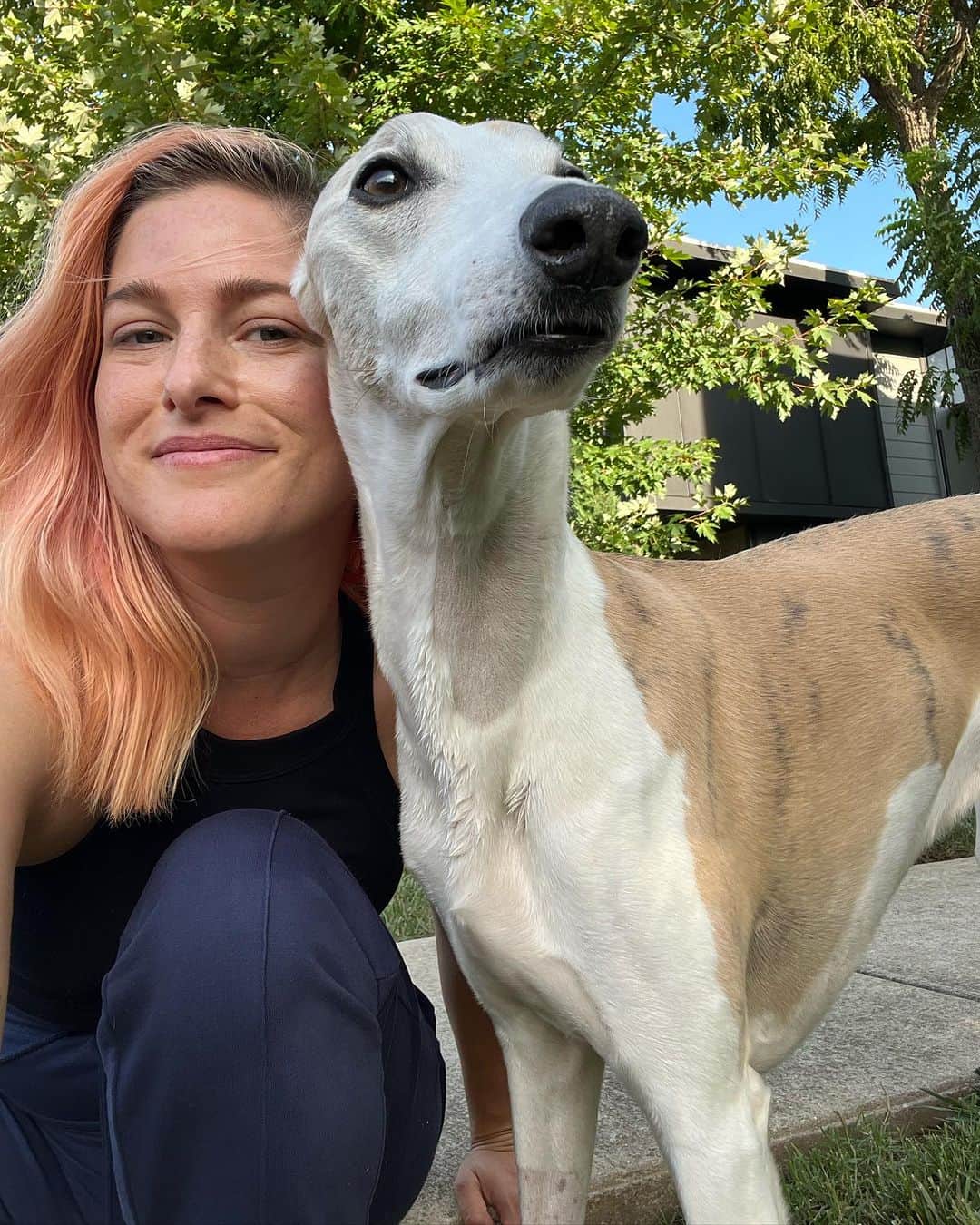 キャサディー・ポープさんのインスタグラム写真 - (キャサディー・ポープInstagram)「#nationaldogday is every day 🥰」8月27日 1時58分 - cassadeepope