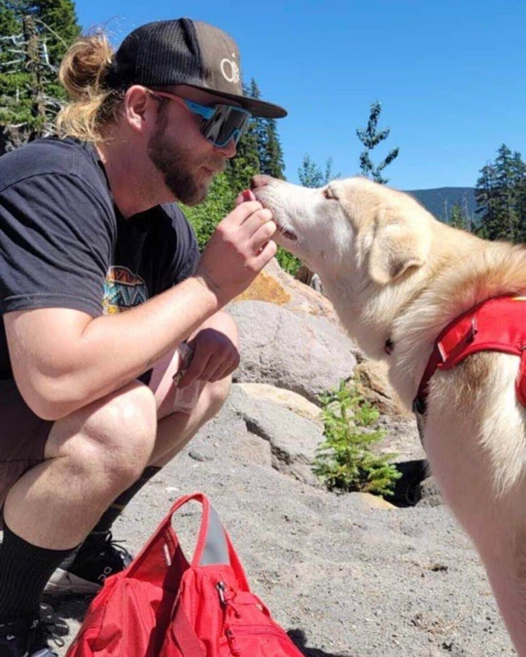 Smithさんのインスタグラム写真 - (SmithInstagram)「#InternationalDogDay is just another day at the office for us at Smith. Our four-legged coworkers bring joy and endless tail wags to our pup-friendly workspace.」8月27日 2時07分 - smithoptics