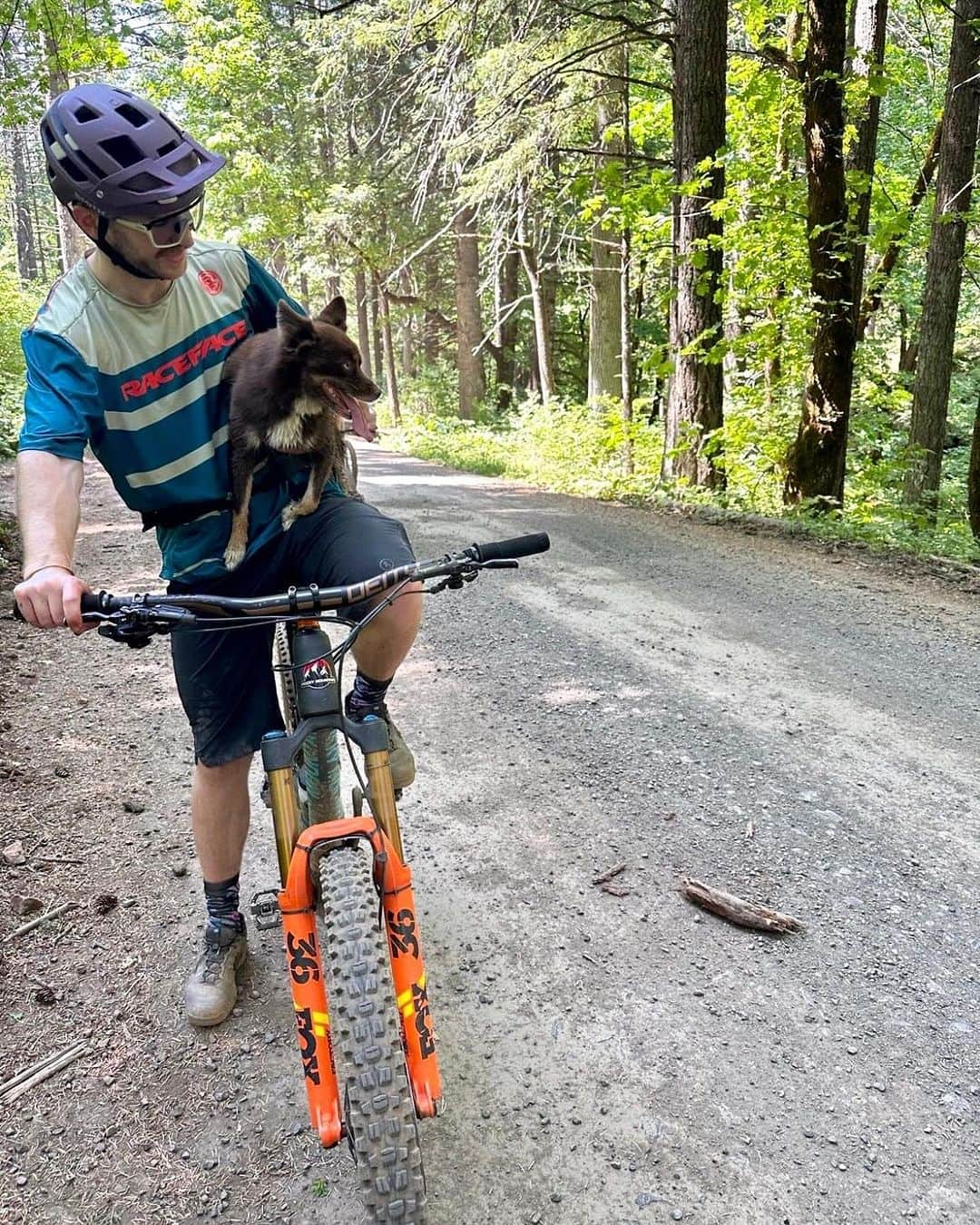 Smithさんのインスタグラム写真 - (SmithInstagram)「#InternationalDogDay is just another day at the office for us at Smith. Our four-legged coworkers bring joy and endless tail wags to our pup-friendly workspace.」8月27日 2時07分 - smithoptics