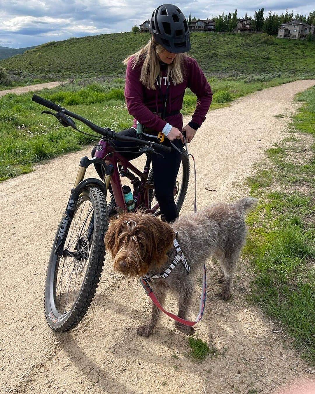 Smithのインスタグラム：「#InternationalDogDay is just another day at the office for us at Smith. Our four-legged coworkers bring joy and endless tail wags to our pup-friendly workspace.」