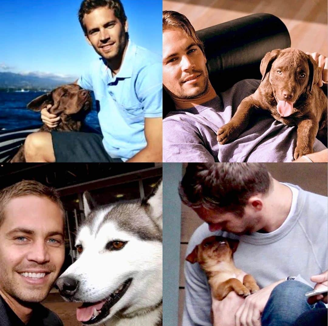 ポール・ウォーカーさんのインスタグラム写真 - (ポール・ウォーカーInstagram)「Happy #NationalDogDay! 💙🐶💙 #TeamPW」8月27日 2時27分 - paulwalker