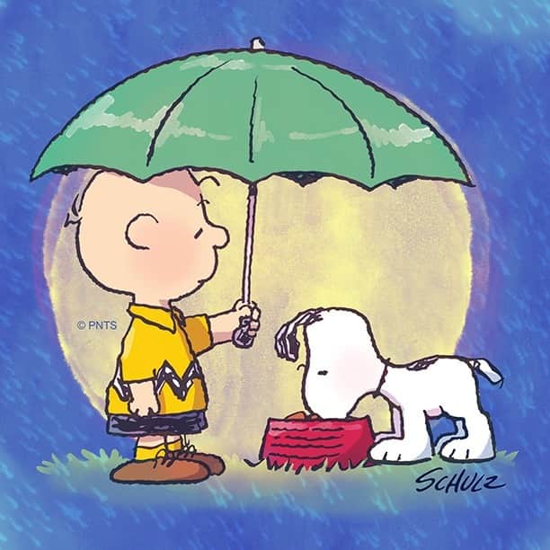 スヌーピーのインスタグラム：「Show your dog some love today #NationalDogDay」