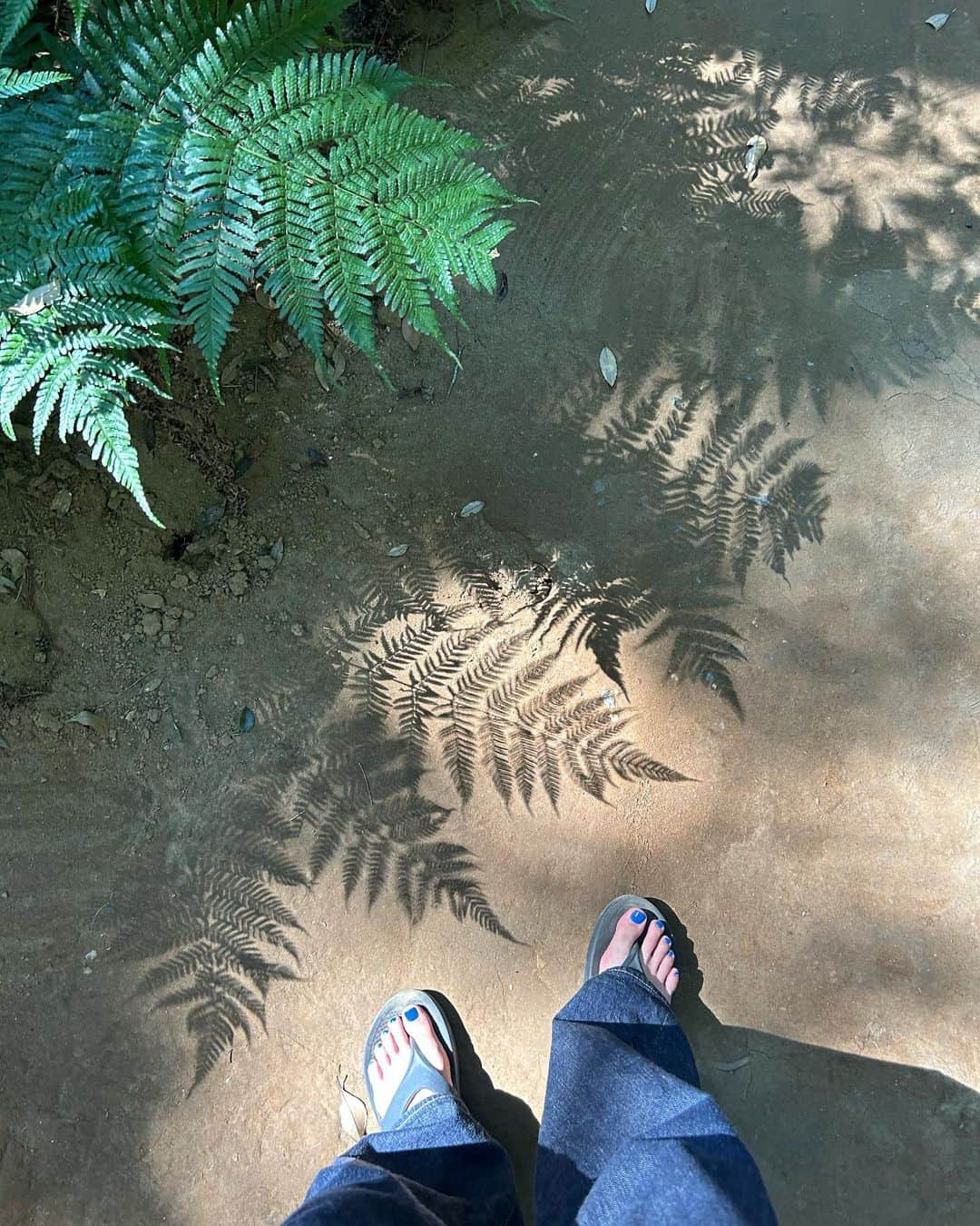 信太美月さんのインスタグラム写真 - (信太美月Instagram)「久しぶりの地元だったよ🌿 なつのいろ💙💚」8月27日 13時51分 - shidamizuki