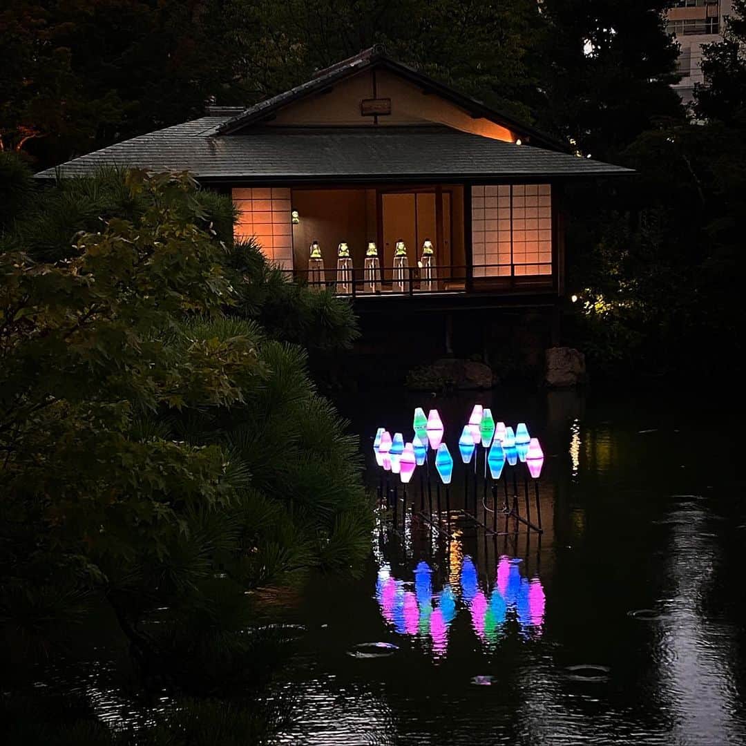 Mosslight-LEDのグルメインスタ