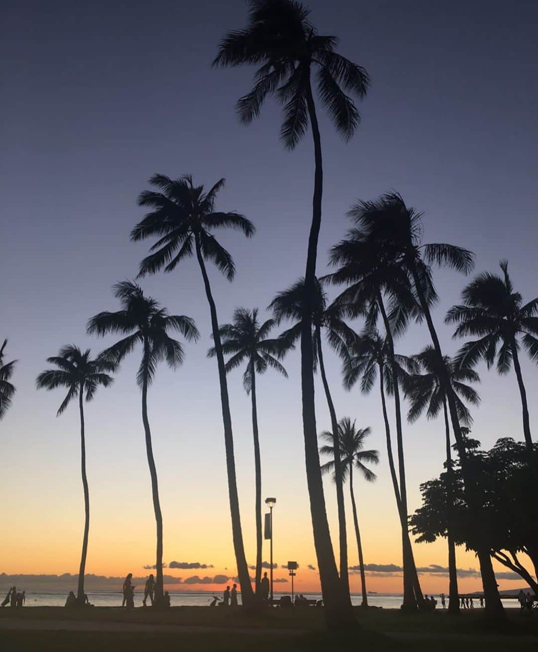 GENKINGのインスタグラム：「Thanks guys for making this day special🌴🫶」