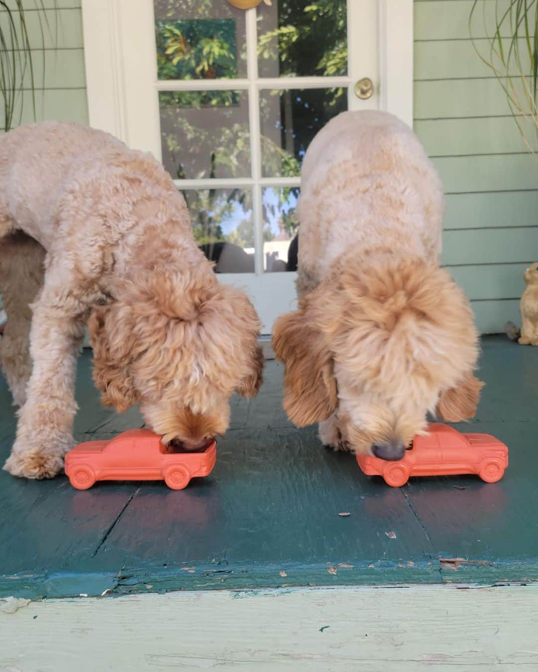 ジョーディン・バラットさんのインスタグラム写真 - (ジョーディン・バラットInstagram)「happy national dog day to all of my fur babies!! i love these little creatures so much 🥹 thank you @teamtoyota for their new favorite toy.. not only is the tacoma or tundra one of the best dog-mobiles out there, now they have one of their own 🥰 #toyotapartner #tacoma @teamtoyota @toyotausa Nani, Kula, Rodney, Buzz, Jessie, Coco, Lilo 💕」8月27日 7時51分 - jordynbarratt