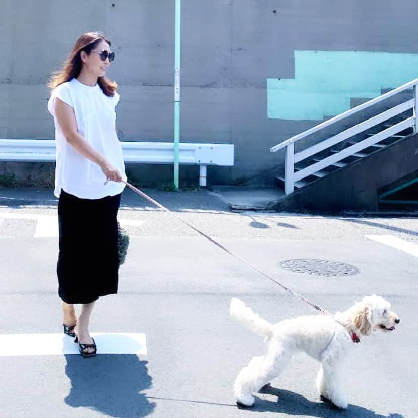lady.junjunのインスタグラム