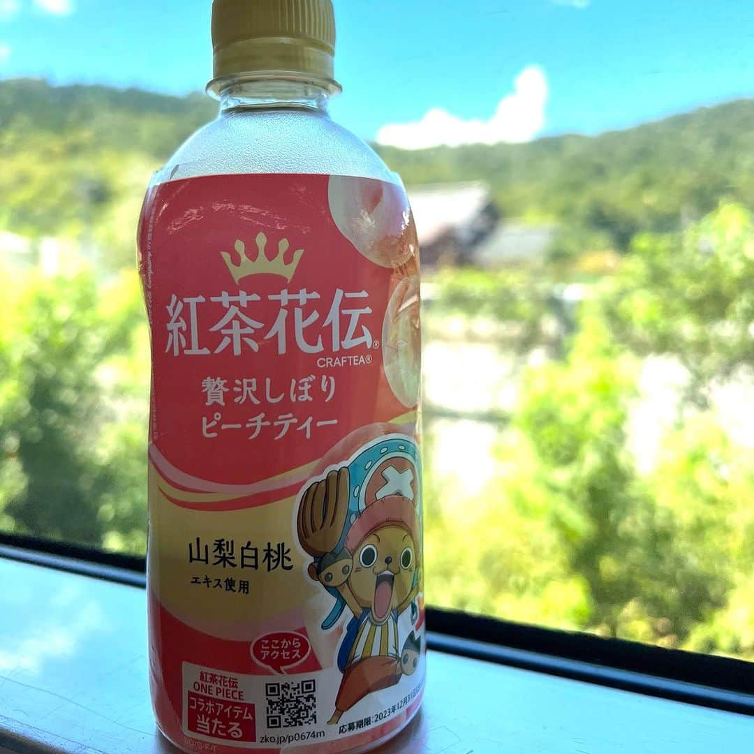 千葉あやさんのインスタグラム写真 - (千葉あやInstagram)「. 休暇⛰️✨ リフレッシュしました😊  ありがとうございました✨  #帰省 #山梨県 #山梨県身延町 #下部温泉 #坂本彩 #坂本彩ものまね」8月27日 15時09分 - aya_sakaya56