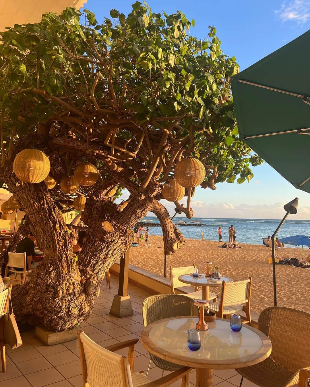 GENKINGのインスタグラム：「It feels great to see the sunset over the ocean with a wine in your hand🌅🍷🌴  カイマナビーチを見ながら食事が出来る素敵なレストランのHau Tree Lanai🌳✨ 店内も可愛いく、運が良いと浜辺のアザラシも間近で見えちゃったり、何よりサンセットタイムにゆっくりできるから好き🩷  @thehautree  #hautreelanai  #hawaii」