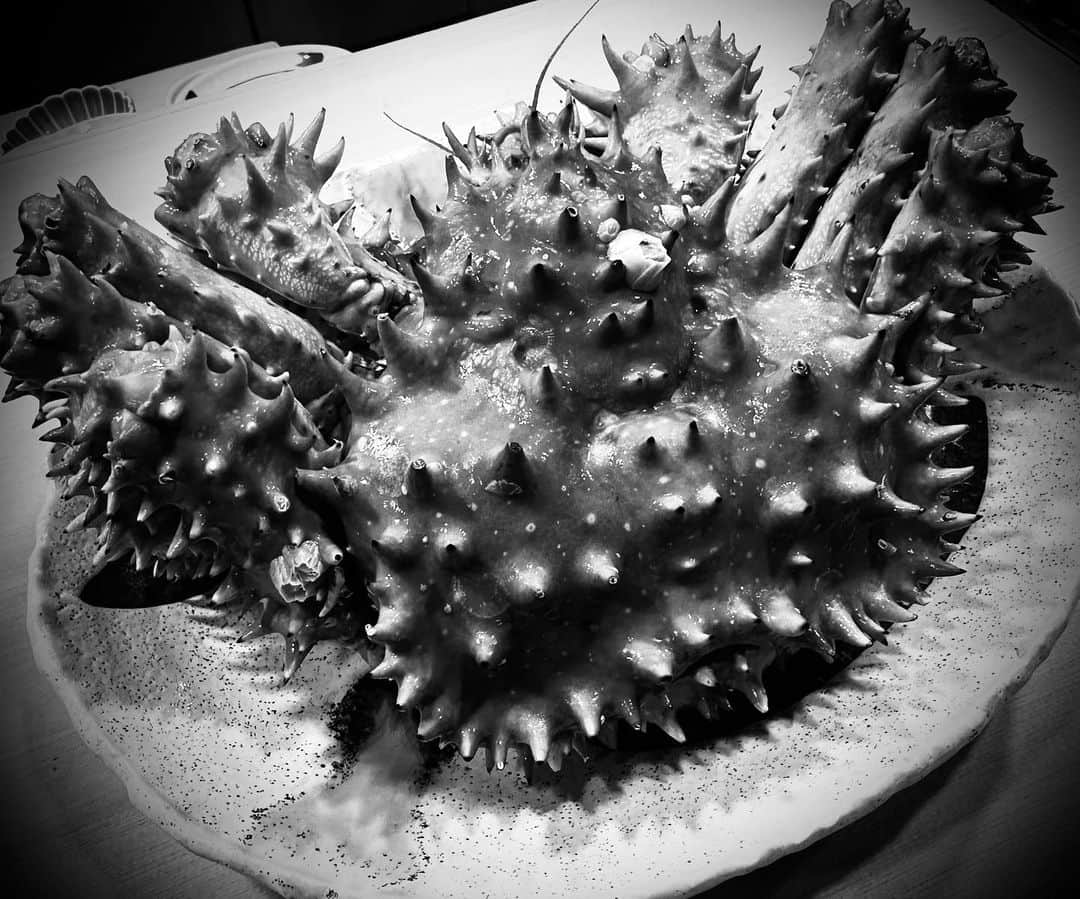 増田貴久のグルメインスタ