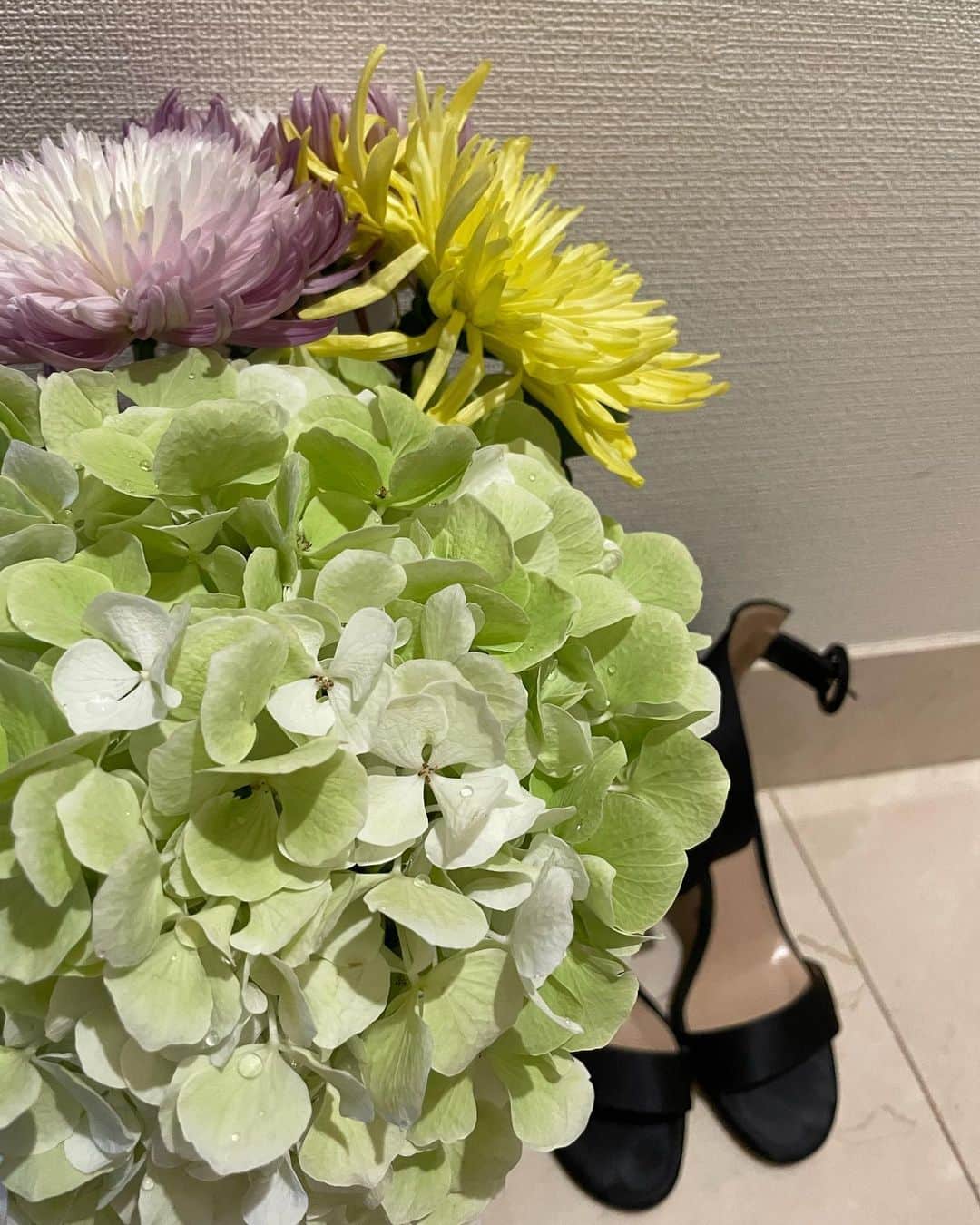  如月 みうさんのインスタグラム写真 - ( 如月 みうInstagram)「お気に入りの靴とお花が並んでいると なんだかときめく🤍」8月27日 10時31分 - miu_k123