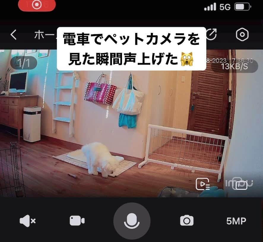 河島あみるのインスタグラム