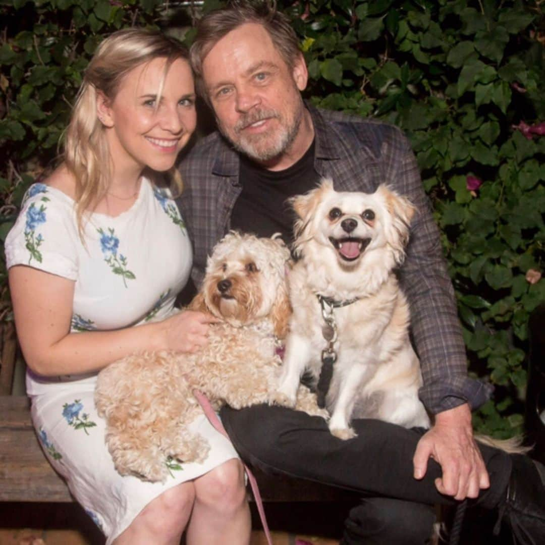 マーク・ハミルさんのインスタグラム写真 - (マーク・ハミルInstagram)「As far as I'm concerned, EVERY day is #NationalDogDay  I'm pretty sure @ChelseaHamill & #HamillFurballs (@millsthemagnificent, @marvellousmsmabel & @fulloftrixs) all agree.」8月27日 10時49分 - markhamill