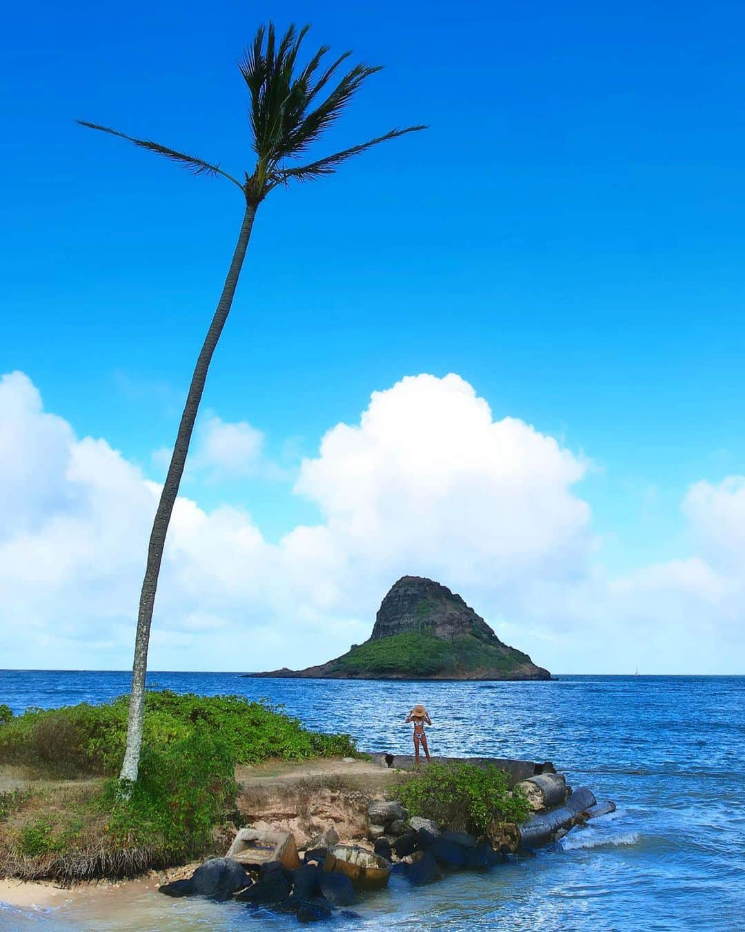 shihoさんのインスタグラム写真 - (shihoInstagram)「💚⛰️💚⛰️💚 ・ 📍Chinaman's Hat  Mokoli'i ・ Hawaiiの素敵な景色の一つ 『チャイナマンズ・ハット』 正式名称は〝モコリイ島” ・ 昔むかし、 中国からサトウキビプランテーションに やってきた労働者の多くが、 この形の帽子を被っていた事から 〝チャイナマンズ・ハット” の 名前がついたとされているょ。 ・ 広い公園内から見える チャイナマンズハットは、 見る場所によって 少しずつ違った形に見えるのも 楽しみ方の一つ。 ・ たった1本スラっと伸びた ヤシの木とのコラボも素敵よね♡ でもヤシの木ちゃんの 葉っぱがちょっぴりさみしい、、笑 ・ #hawaii#islandofoahu#oahu#ハワイ#trip #オアフ島#travel#loco_hawaii#travel_jp #funtorip#タビジョ#旅MUSE#genic_travel #genic_mag#たびねす#旅行#genic_hawaii #chinamanshat#mokolii#island#oahuhawaii #tabijyomap_hawaii#lealeahawaii#2023」8月27日 11時31分 - shiho.ga8