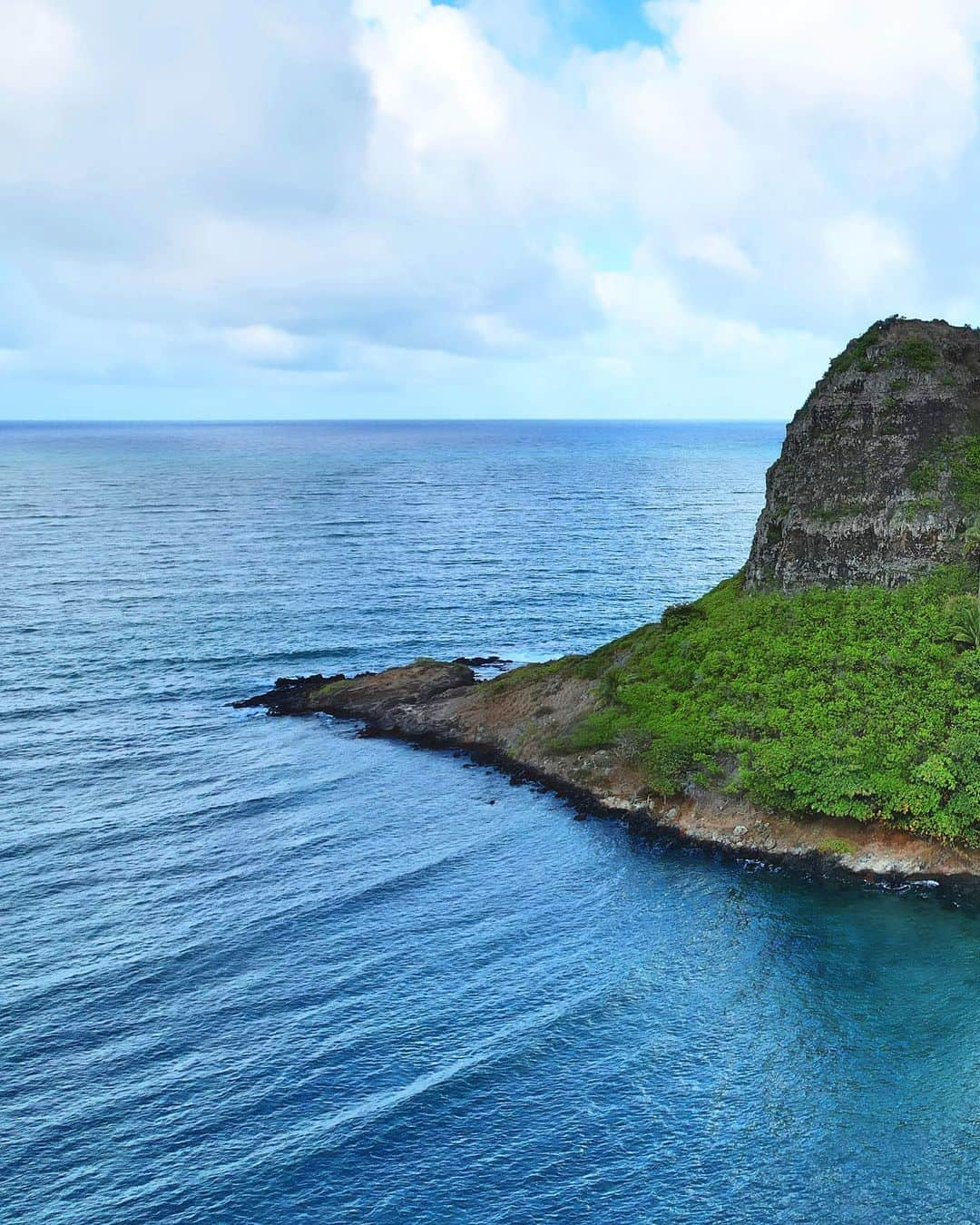 shihoさんのインスタグラム写真 - (shihoInstagram)「💚⛰️💚⛰️💚 ・ 📍Chinaman's Hat  Mokoli'i ・ Hawaiiの素敵な景色の一つ 『チャイナマンズ・ハット』 正式名称は〝モコリイ島” ・ 昔むかし、 中国からサトウキビプランテーションに やってきた労働者の多くが、 この形の帽子を被っていた事から 〝チャイナマンズ・ハット” の 名前がついたとされているょ。 ・ 広い公園内から見える チャイナマンズハットは、 見る場所によって 少しずつ違った形に見えるのも 楽しみ方の一つ。 ・ たった1本スラっと伸びた ヤシの木とのコラボも素敵よね♡ でもヤシの木ちゃんの 葉っぱがちょっぴりさみしい、、笑 ・ #hawaii#islandofoahu#oahu#ハワイ#trip #オアフ島#travel#loco_hawaii#travel_jp #funtorip#タビジョ#旅MUSE#genic_travel #genic_mag#たびねす#旅行#genic_hawaii #chinamanshat#mokolii#island#oahuhawaii #tabijyomap_hawaii#lealeahawaii#2023」8月27日 11時31分 - shiho.ga8