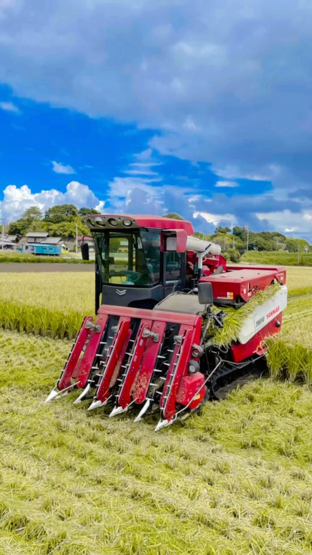道の駅やちよのグルメインスタ