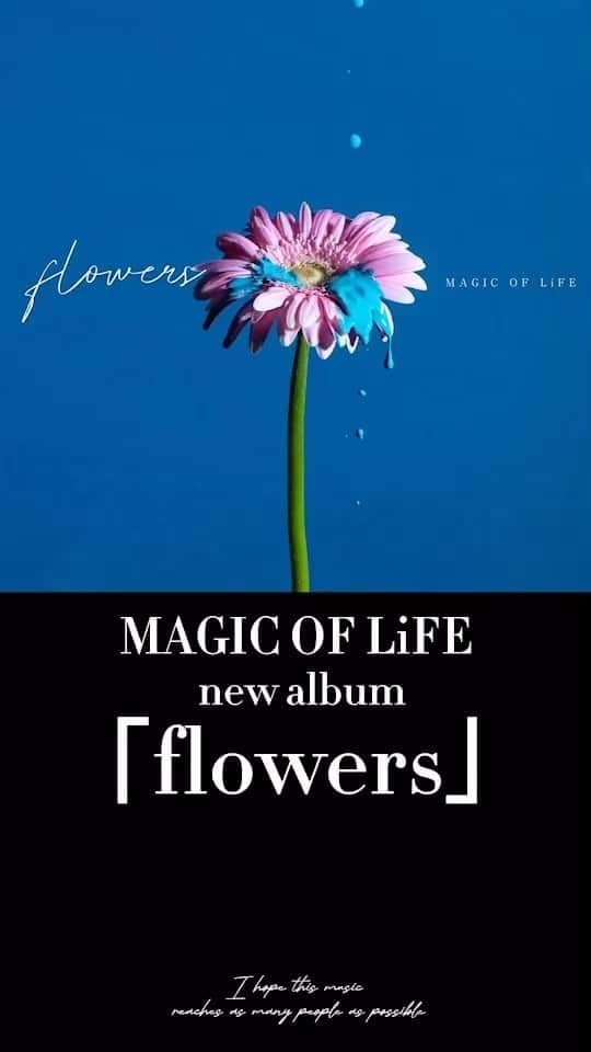 高津戸信幸のインスタグラム：「【New album "flowers"】  Our Band's New album "flowers" is out now💐💐💐  You can get this album from the link in my profile section!!! Please listen and share🖤🖤  MAGIC OF LiFE 20th Anniversary LIVE TOUR "flowers"  23.09.02(Sat) SIX ONE Live STAR 広島  23.09.03(Sun) 福岡 Queblick  23.09.09(Sat) 名古屋 ell.fitsall  23.09.10(Sun) 大阪 OSAKA MUSE  23.09.16(Sat) 札幌 SUSUKINO 810  23.09.18(Mon) 仙台LIVEHOUSE enn2nd  23.09.24(Sun) 新潟CLUB RIVERST  23.10.21(Sat) 東京 Spotify O-WEST  いよいよ今週末からスタート😎 我々4人は仕上がっています それはそれは素晴らしい夜になるでしょうね 20年分の想いを体感して頂きたい  プロフィール欄リンクからチケットゲット🤝  #flowers #magicoflife #japan」