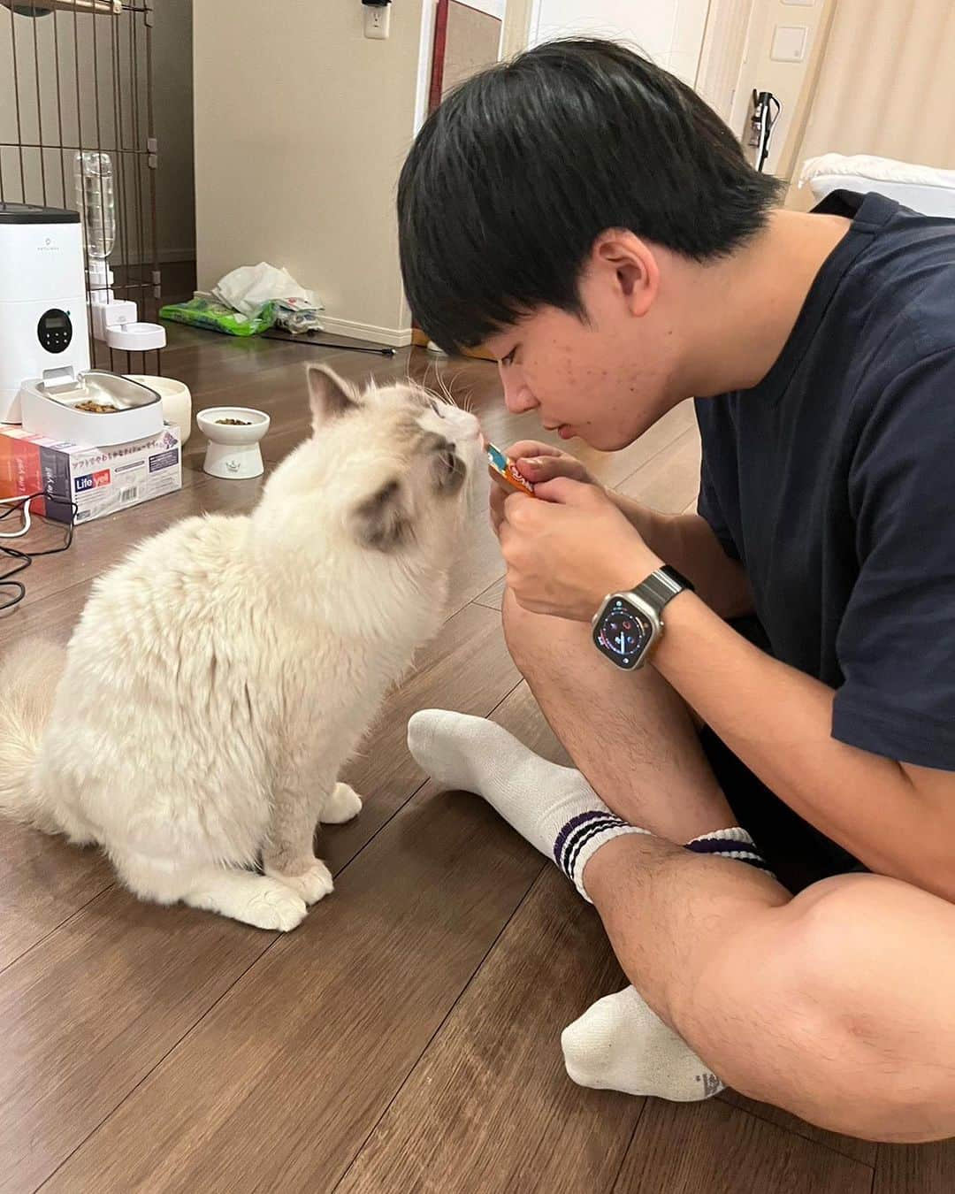 すしらーめん《りく》さんのインスタグラム写真 - (すしらーめん《りく》Instagram)「友達の猫様と念願の触れ合いができた。癒しすぎた。 #猫」8月27日 12時25分 - sushi_riku