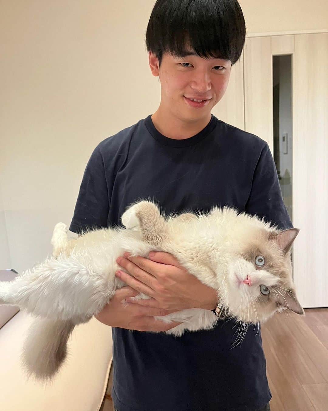 すしらーめん《りく》のインスタグラム：「友達の猫様と念願の触れ合いができた。癒しすぎた。 #猫」