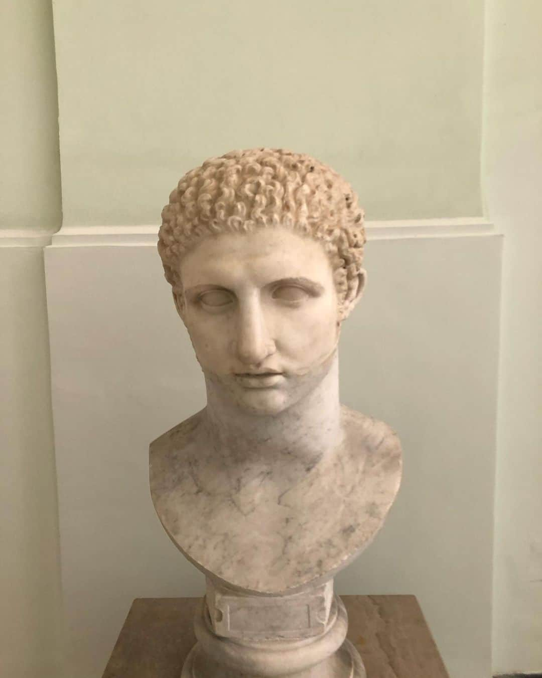 オリヴィエ・ザームさんのインスタグラム写真 - (オリヴィエ・ザームInstagram)「Museo Archeologico Nazionale in Naples. Maybe my favorite museum but the director and cultural administration are ruining it with outrageous visual pollution with displays, posters, signs, and bad extra exhibitions disrupting the visit to the point they printed posters of how the same collections were showed in the same rooms in the 50’s! Wtf!」8月28日 0時14分 - ozpurple