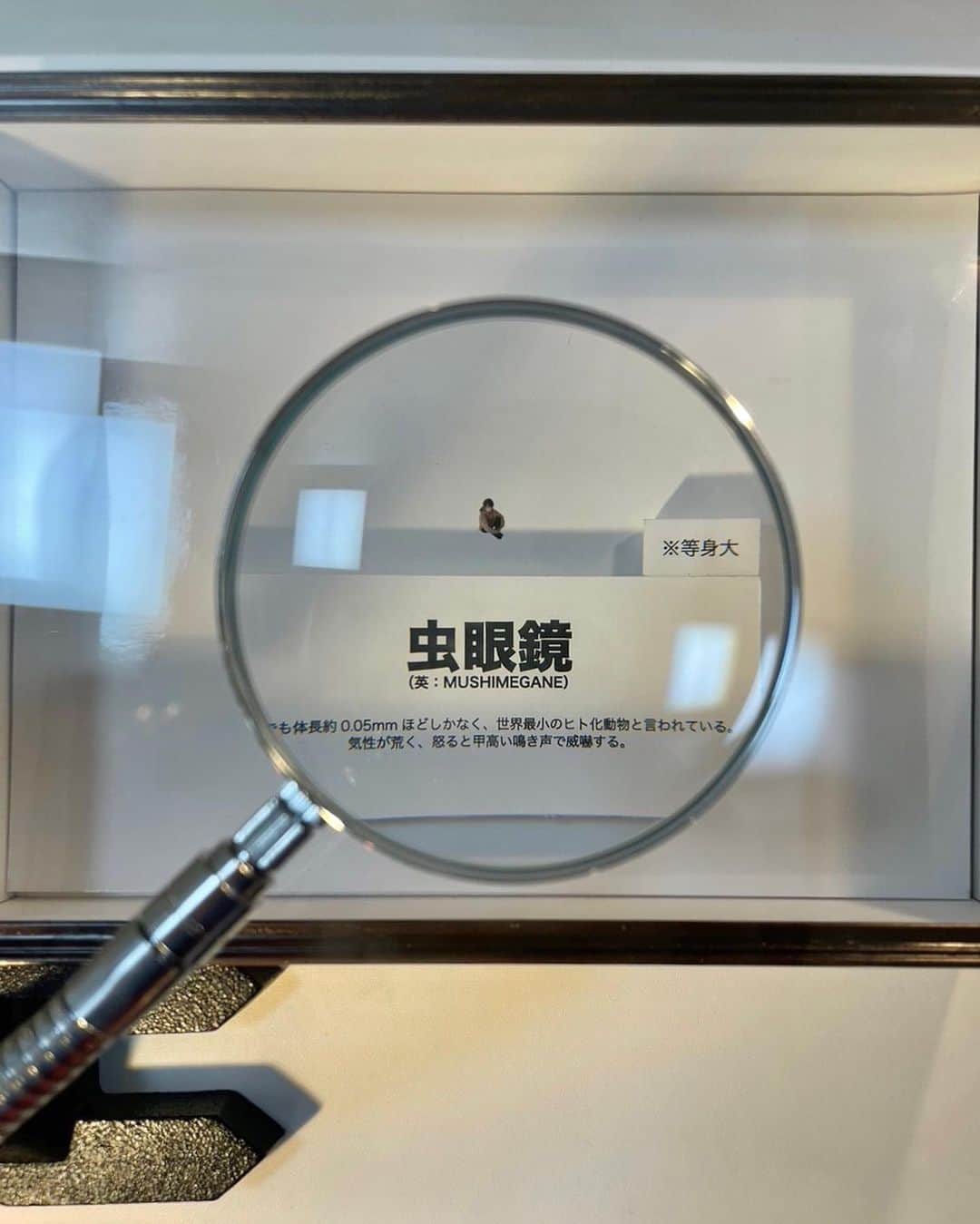 阿部さんのインスタグラム写真 - (阿部Instagram)「岡崎名古屋堪能旅今更投稿」8月28日 0時14分 - abass.0109
