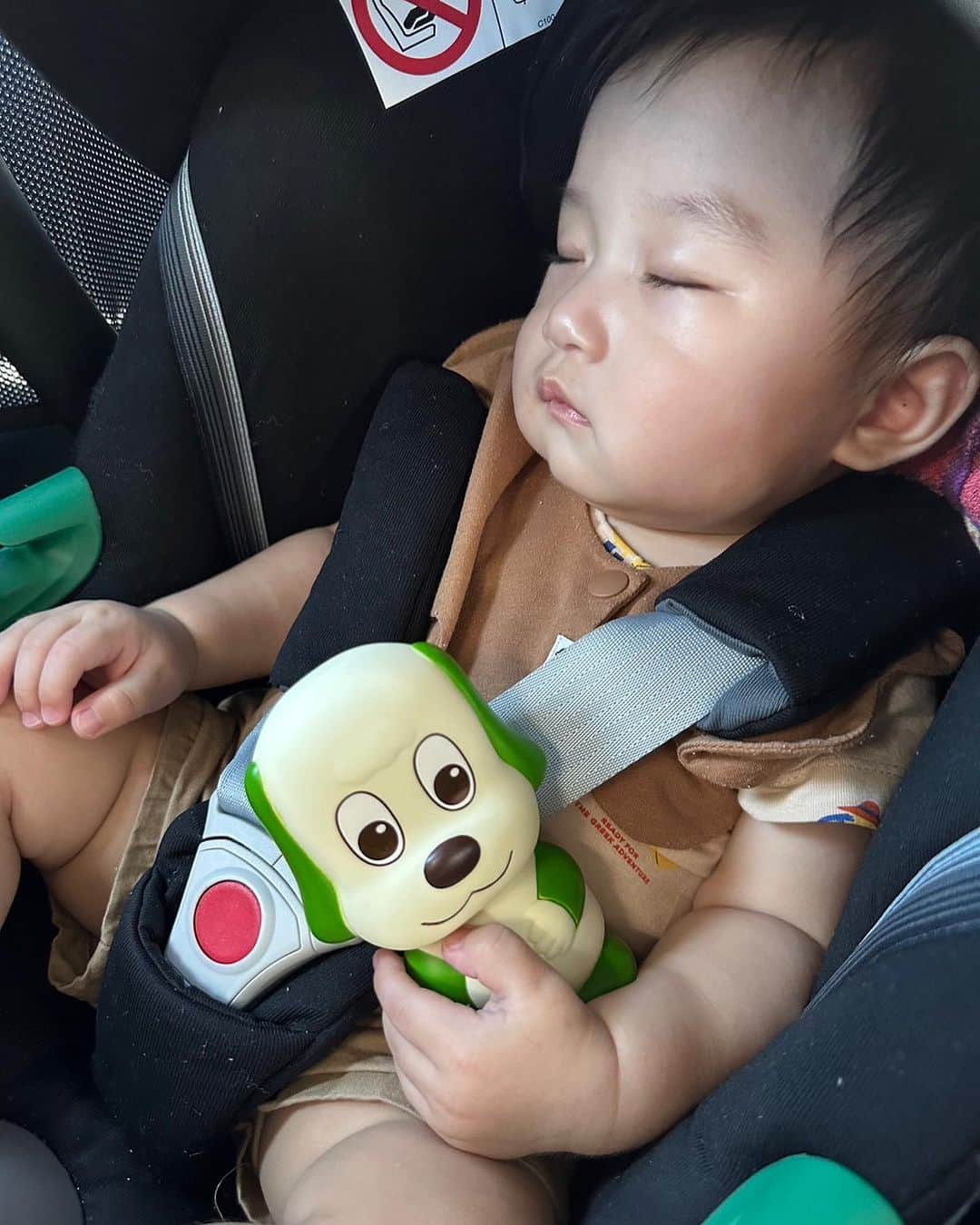 のインスタグラム：「そのイッヌ🐶 最近お気に入りよね👶 ハンドバッグみたいに抱えて寝てる🤣💗 すごい形相でかぶりついたあと💤w #甥活 #おばばか」