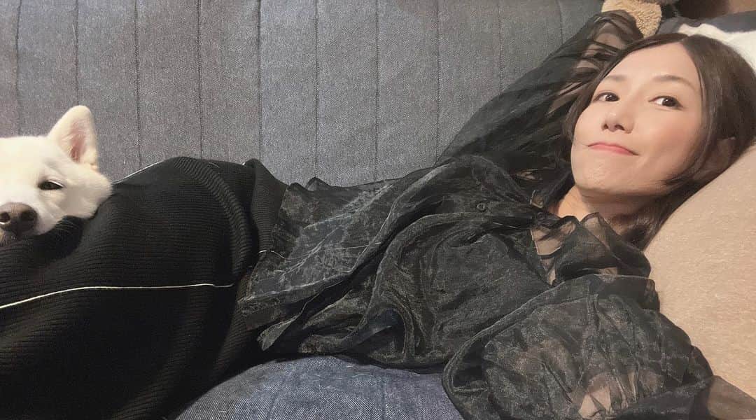 のインスタグラム：「この、お尻の下に来て、折り曲げた膝に顎乗せるのが、お互いに好き☺️  #愛犬」
