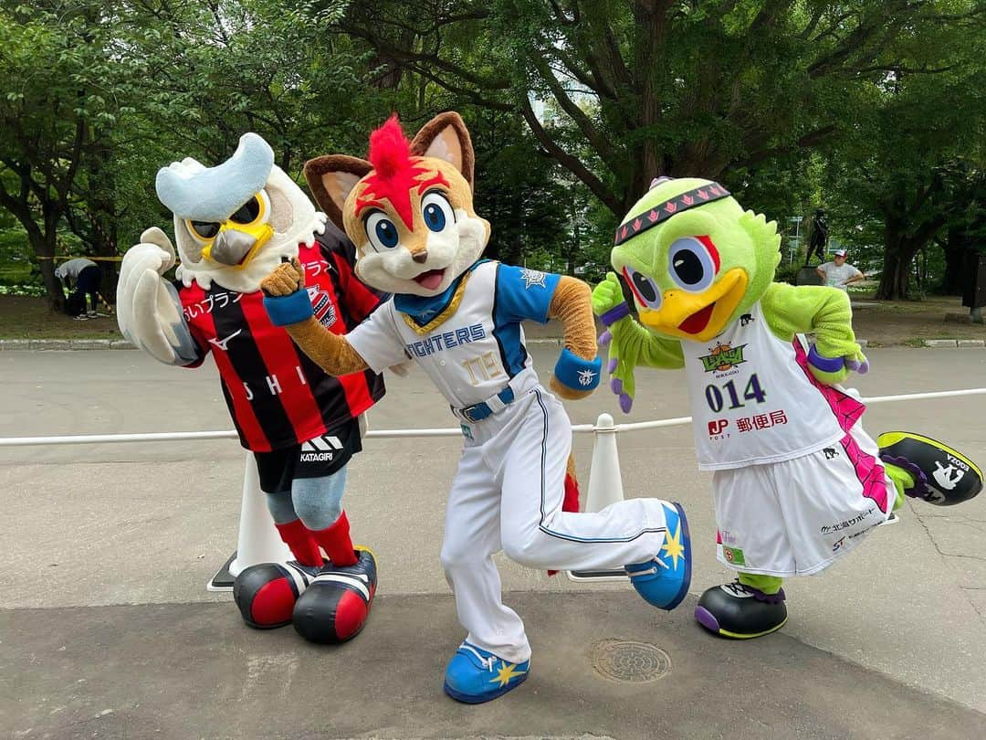 北海道日本ハムファイターズ フレップのインスタグラム：「． ひさびさの集合〜！！！⚽️⚾️🏀 ランナーのみなさんお疲れ様でした✨  #北海道マラソン2023 #ランナー応援団  #コンサドーレ札幌  #ドーレ君  #レバンガ北海道 #レバード  #北海道日本ハムファイターズ　 #lovefighters  #新時代　#FANSAREOURTREASURE  #フレップ」