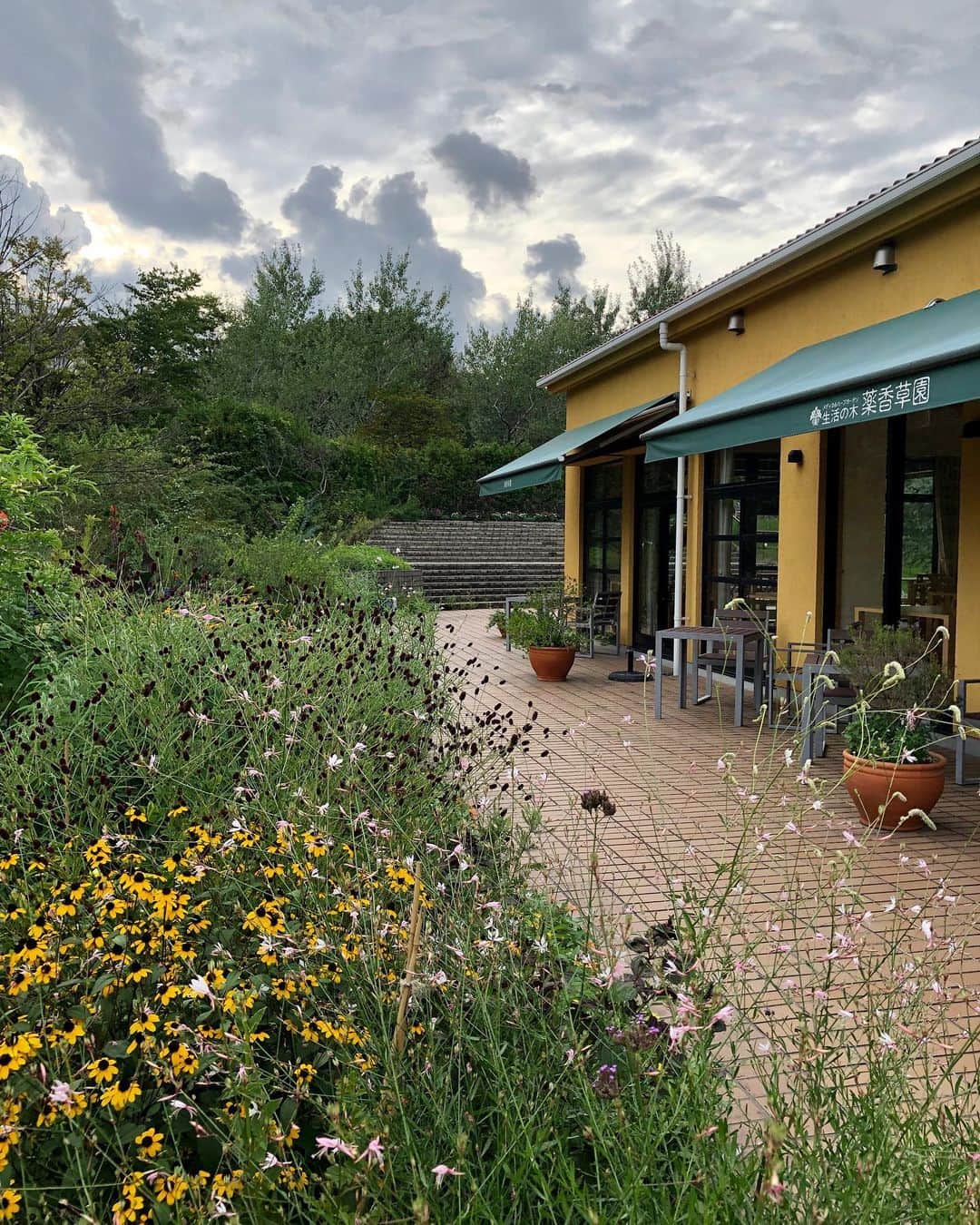 生活の木 メディカルハーブガーデン薬香草園【公式】のグルメインスタ