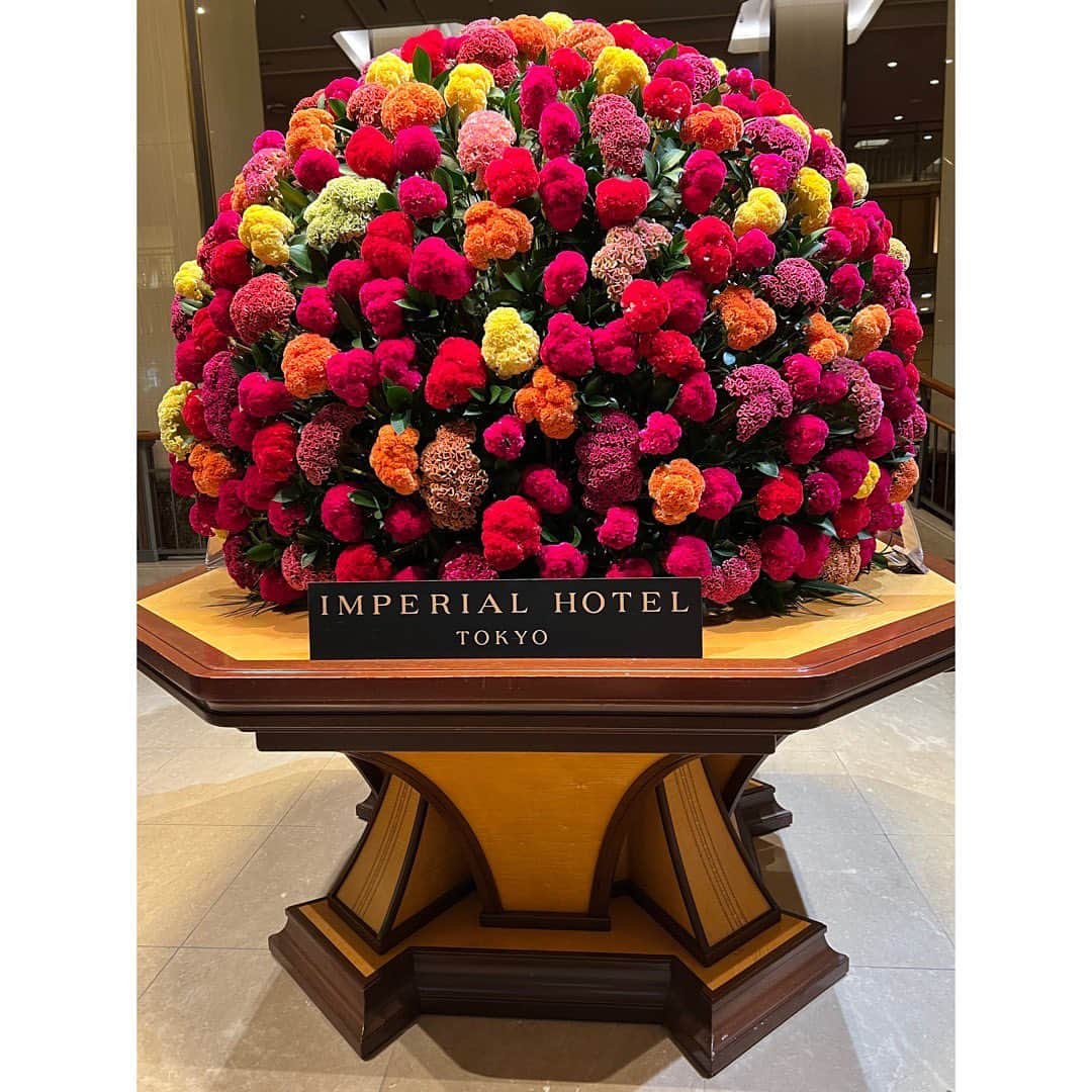伊藤弘美のインスタグラム：「☺︎ ⁡ ❤️🧡💛 ⁡ ⁡ ⁡ 綺麗でした☺️ ⁡ ⁡ ⁡ ⁡ #帝国ホテル」