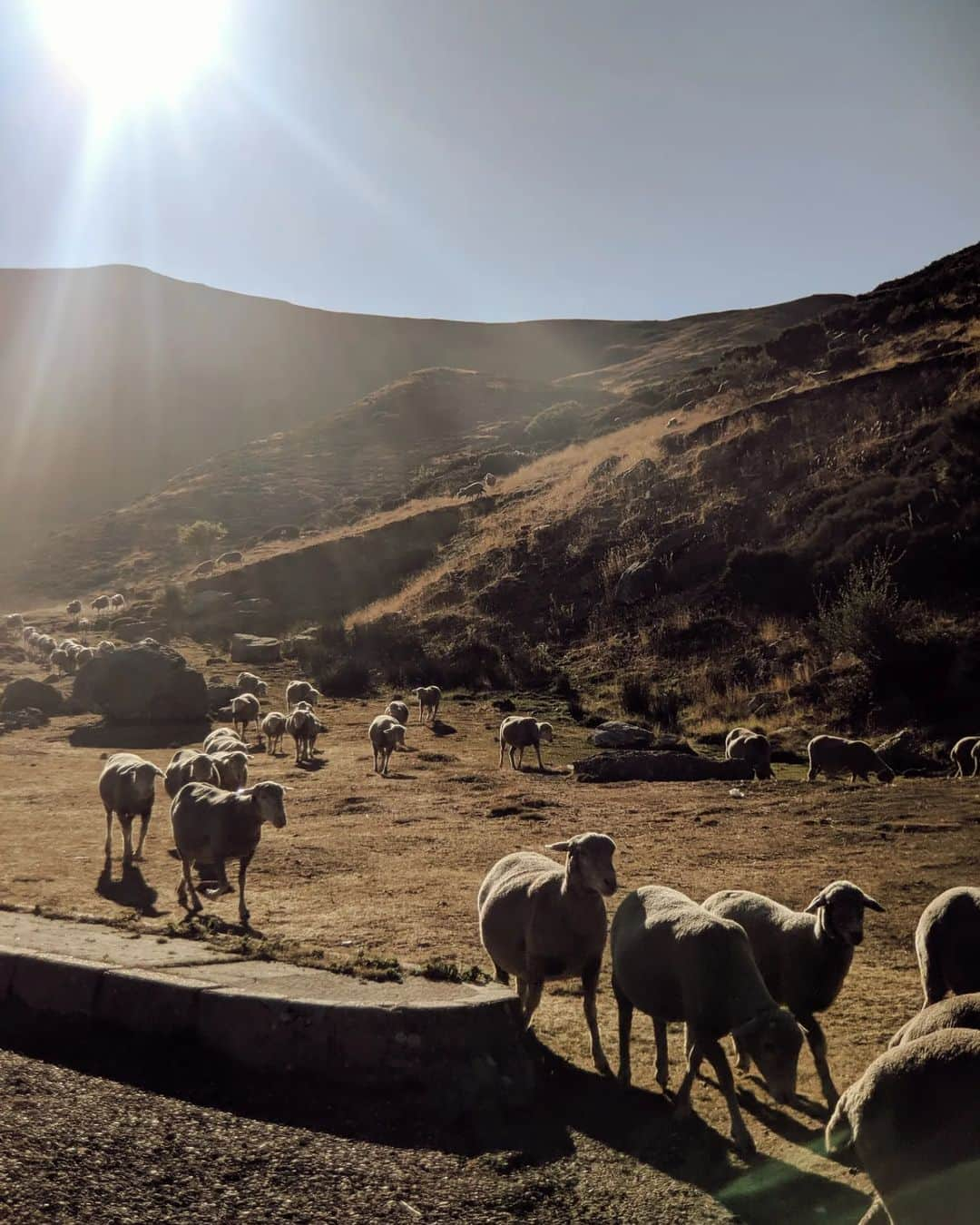 Guido Gutiérrez Ruizさんのインスタグラム写真 - (Guido Gutiérrez RuizInstagram)「Cosas del Norte. Barruelo y sus alrededores ⛰️ Things from the North. #Barruelo and its surroundings #Guigurui」8月27日 18時57分 - guigurui