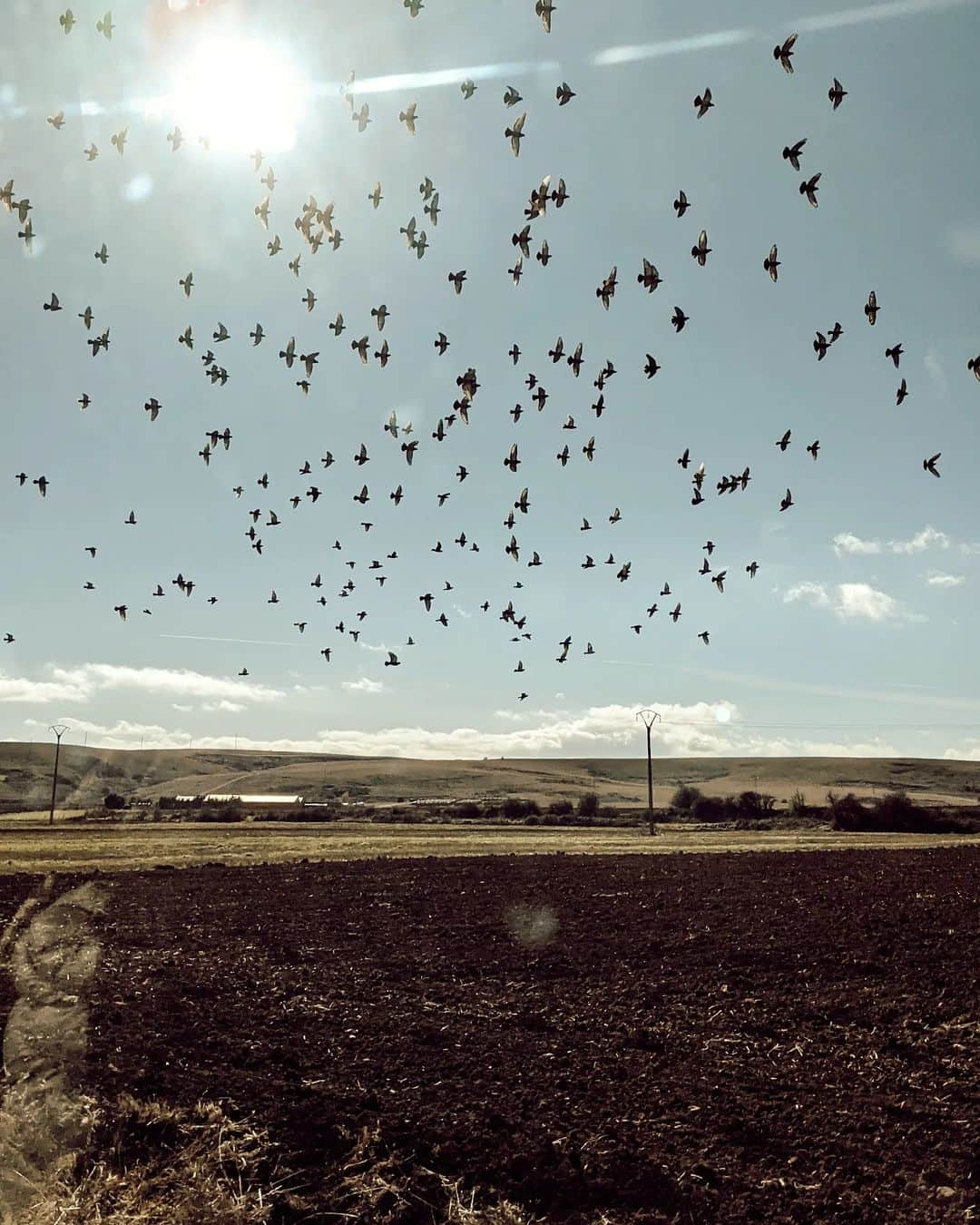 Guido Gutiérrez Ruizさんのインスタグラム写真 - (Guido Gutiérrez RuizInstagram)「Cosas del Norte. Barruelo y sus alrededores ⛰️ Things from the North. #Barruelo and its surroundings #Guigurui」8月27日 18時57分 - guigurui