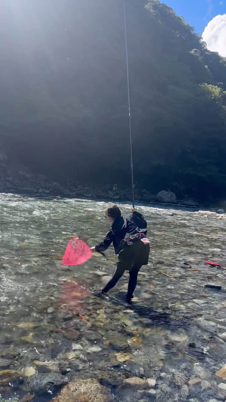 のインスタグラム：「やばい🤣🤣🤣鮎釣り楽し過ぎて鮎釣り最高すぎてヤバい🤣🤣💙  #大鮎 #銀影エアmt   #sweetfish  #japan   #鮎釣り #鮎 #友釣り #延べ竿 #ライトスタイル #ダイワ  #DAIWA  #宮田あゆ #釣り #fishing #fishinglife #fishingday  #낚시 #川 #渓流 #渓流釣り  #camp #清流 #outdoor #outdoors #nature #naturelover #japanesestyle」
