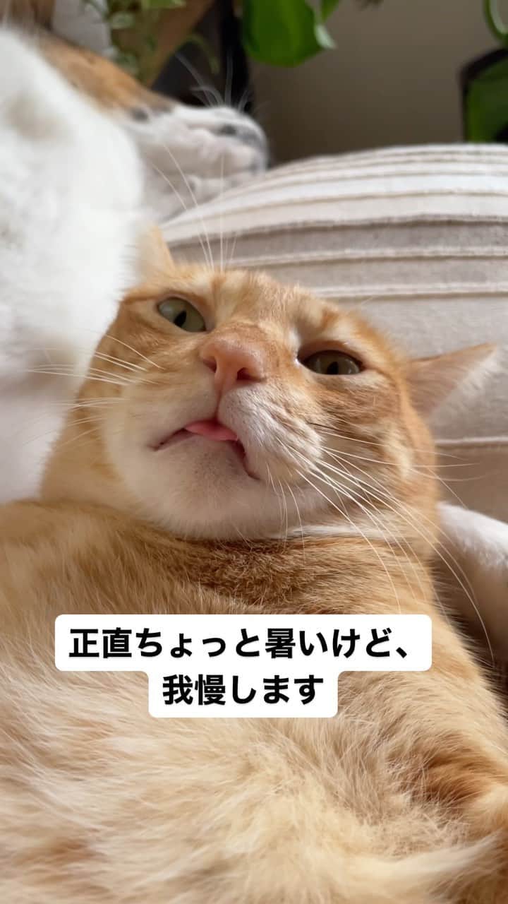 naomiのインスタグラム